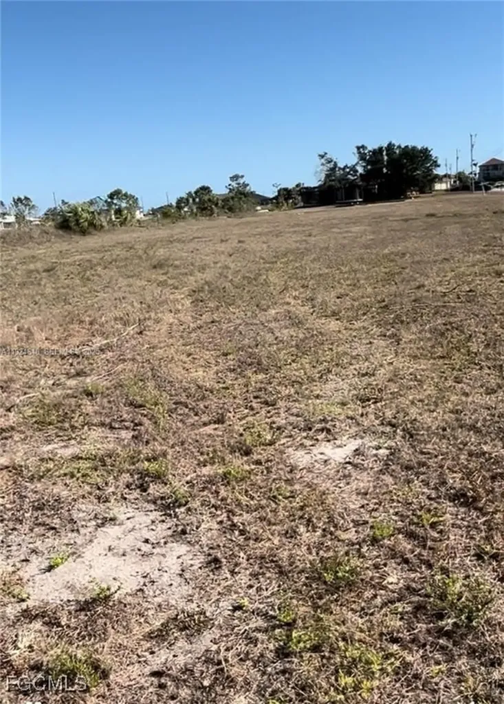 1931 NW 9th Place Cape Coral FL 33993