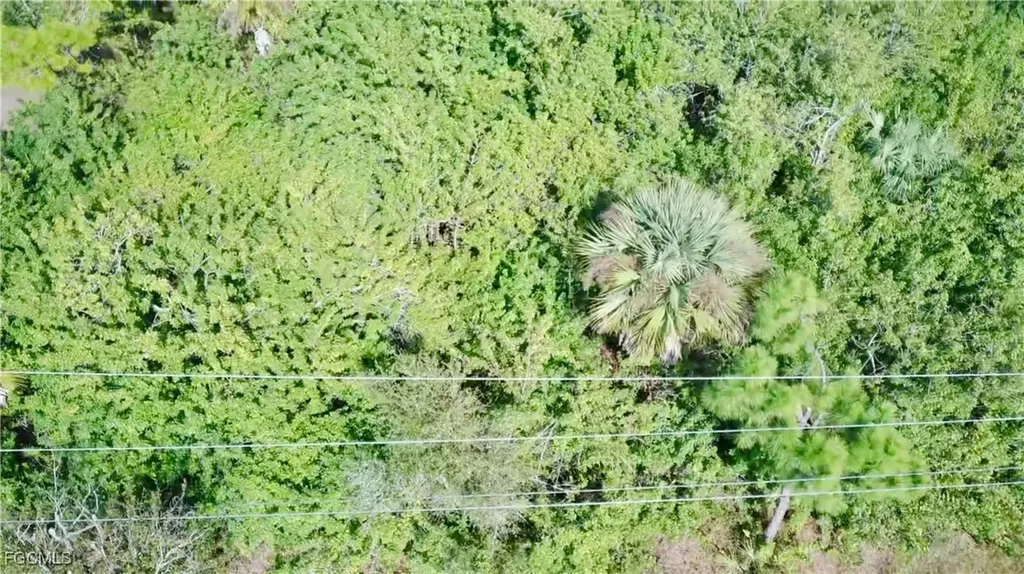 835 Portland Street E Lehigh Acres FL 33974