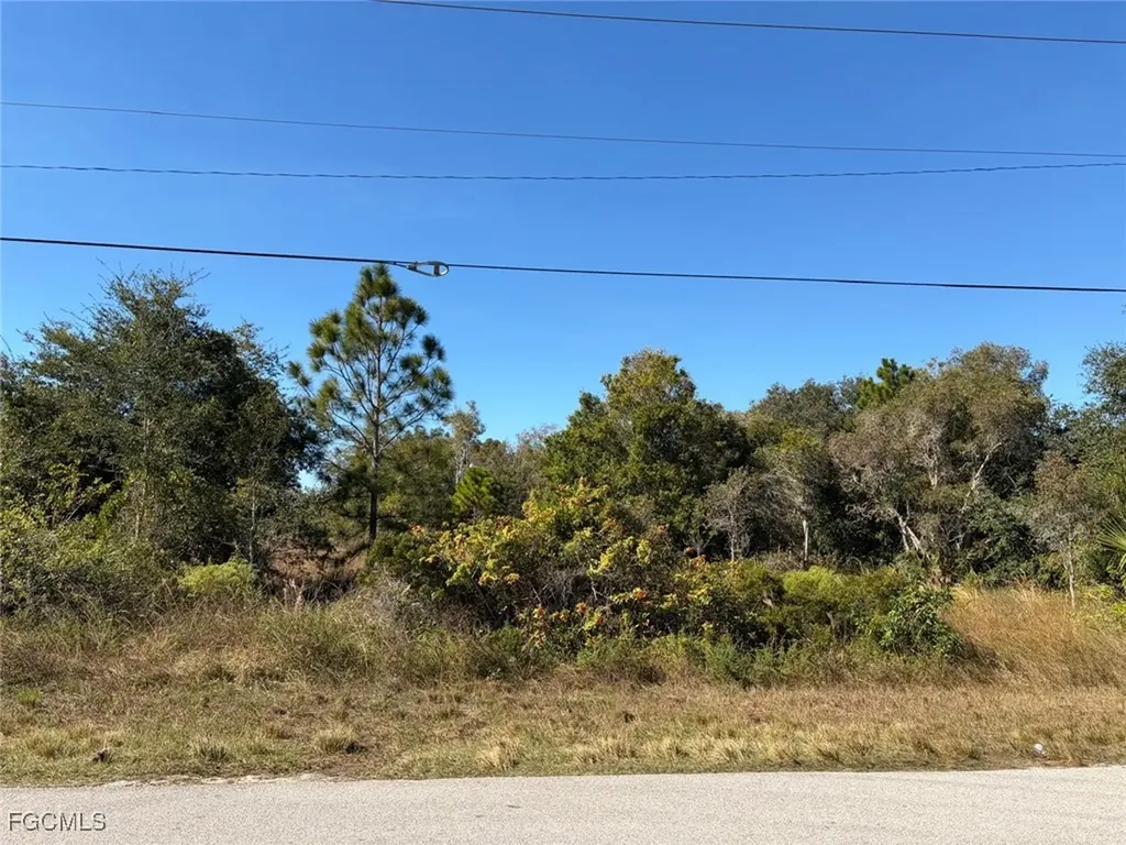 1111 Carl Avenue Lehigh Acres FL 33971