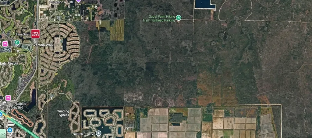 Sabal Palm Road Naples FL 34114
