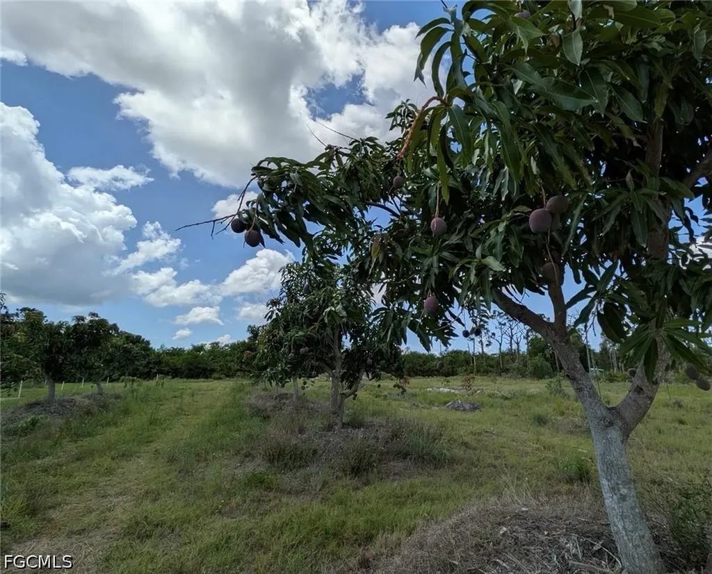 4159 Sunshine Boulevard St. James City FL 33956