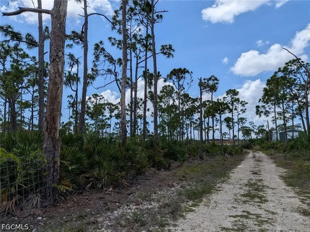 4159 Sunshine Boulevard St. James City FL 33956