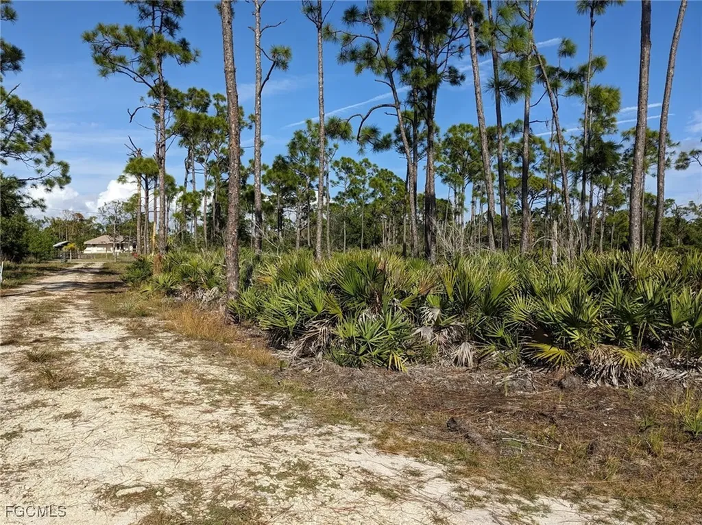 4159 Sunshine Boulevard St. James City FL 33956