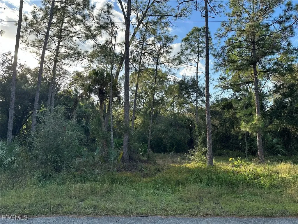 1713 Greenwood Avenue Lehigh Acres FL 33972