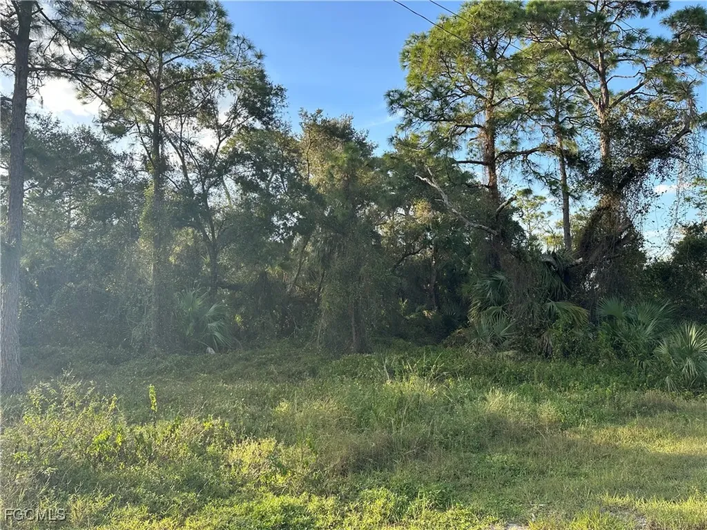 1713 Greenwood Avenue Lehigh Acres FL 33972