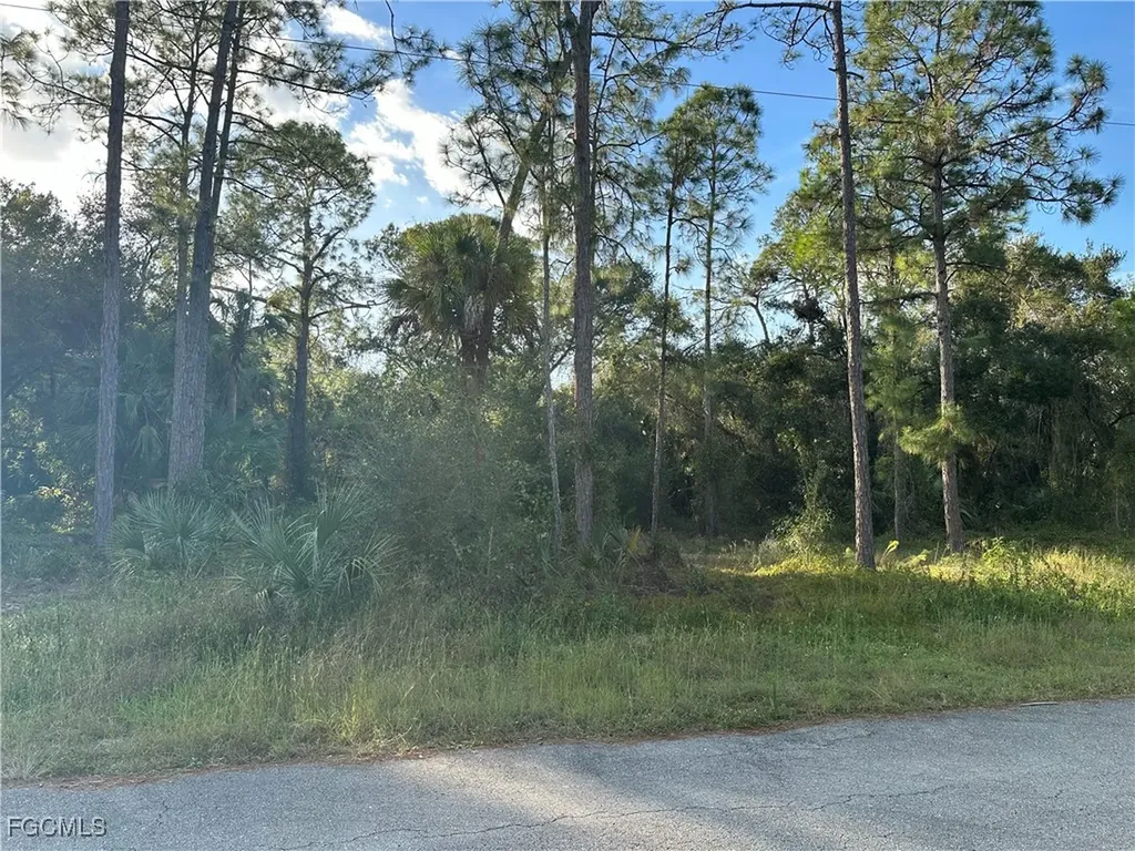 1713 Greenwood Avenue Lehigh Acres FL 33972