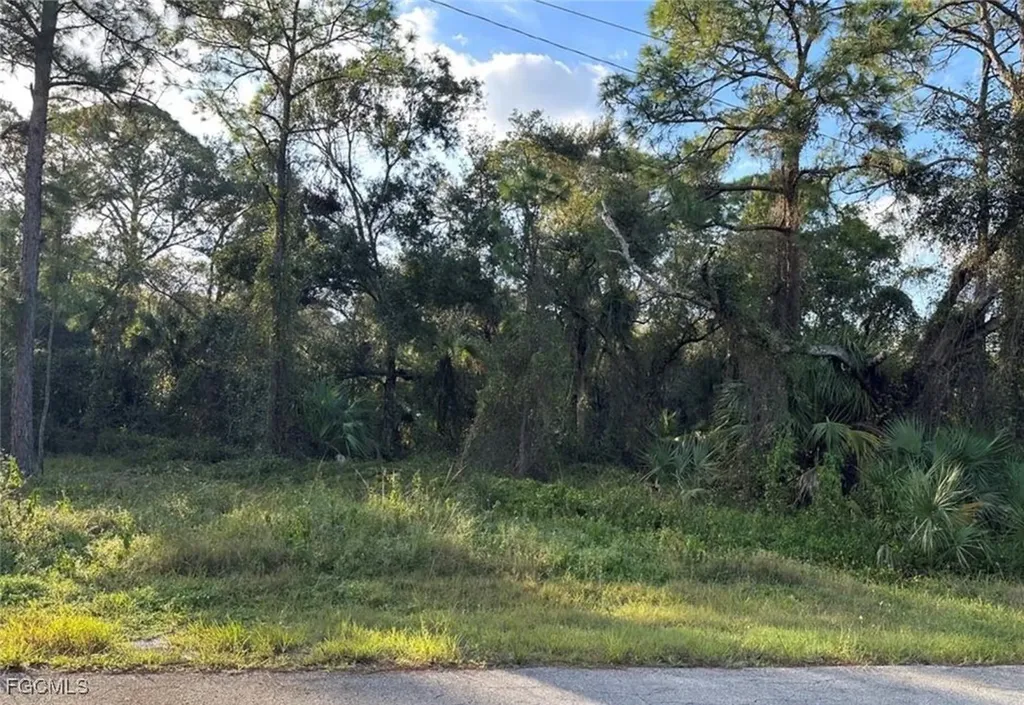 1711 Greenwood Avenue Lehigh Acres FL 33972