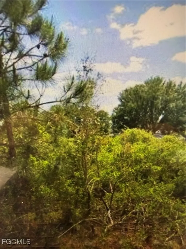 3009 54th Street W Lehigh Acres FL 33971