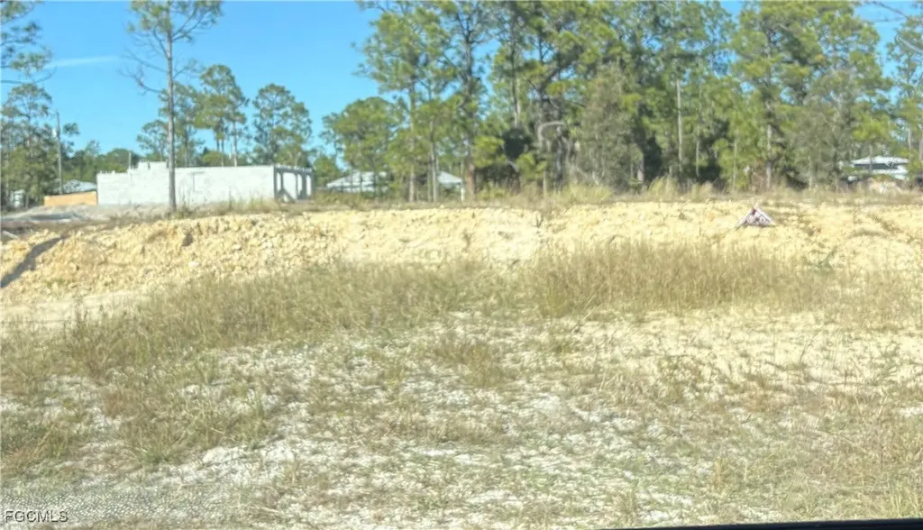 1204 W 10th Street Lehigh Acres FL 33972