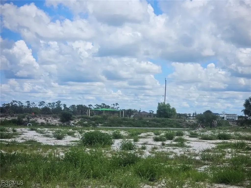 4511 NW 35th Terrace Cape Coral FL 33993