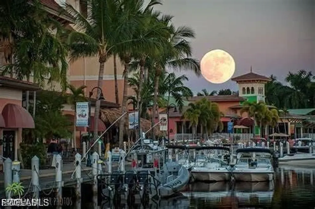 1617 SW 23rd Terrace Cape Coral FL 33991