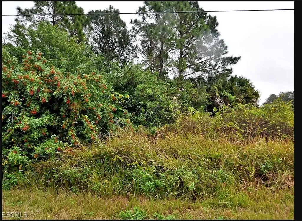 Alpina Alpinia Road North Port FL 34288