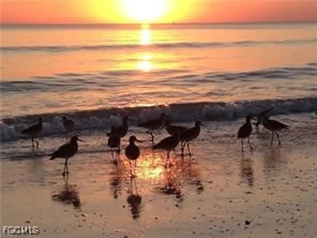 7360 Estero Boulevard Fort Myers Beach FL 33931
