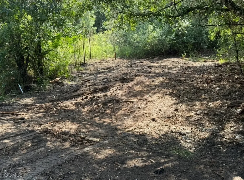 1312 Truman Avenue Lehigh Acres FL 33972