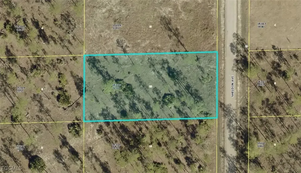 1315 Sheldon Avenue Lehigh Acres FL 33972