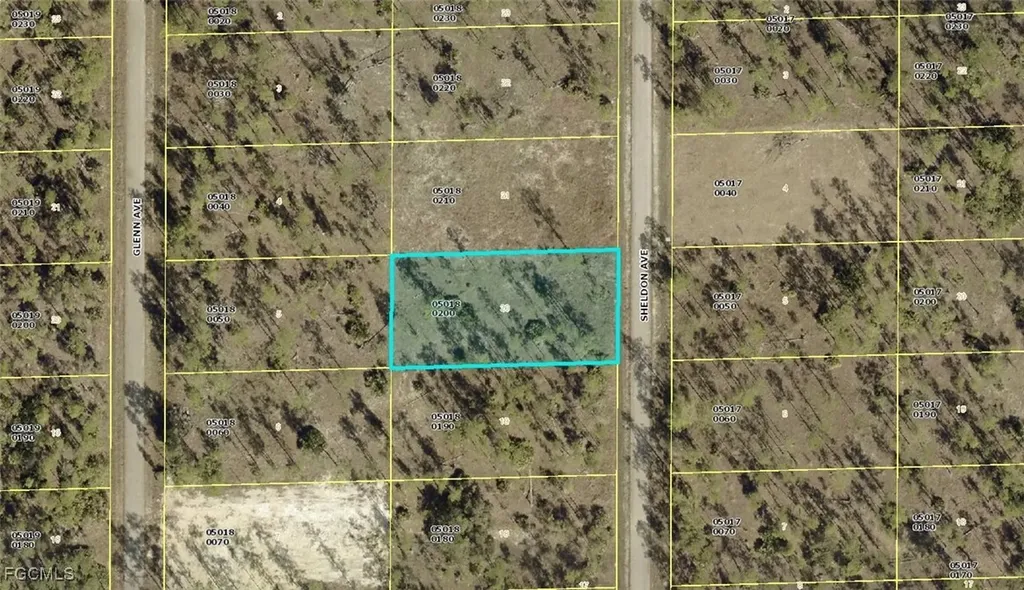 1315 Sheldon Avenue Lehigh Acres FL 33972