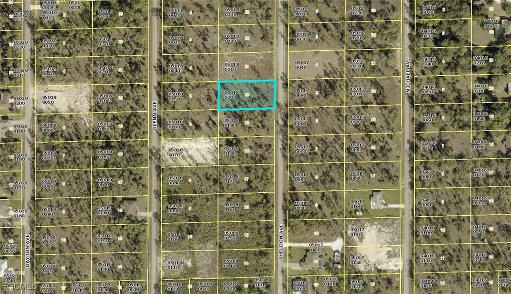 1315 Sheldon Avenue Lehigh Acres FL 33972