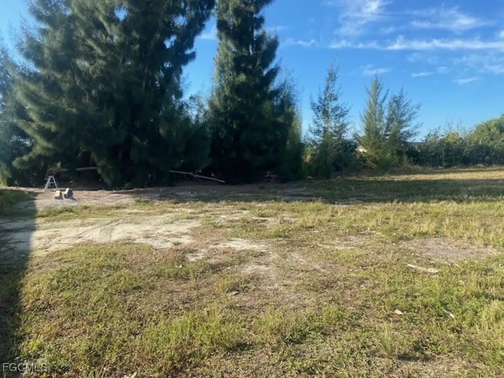 2822 NW 6th Terrace Cape Coral FL 33993