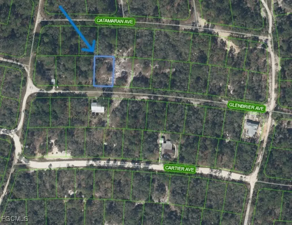 314 Glenbrier Avenue Lake Placid FL 33852