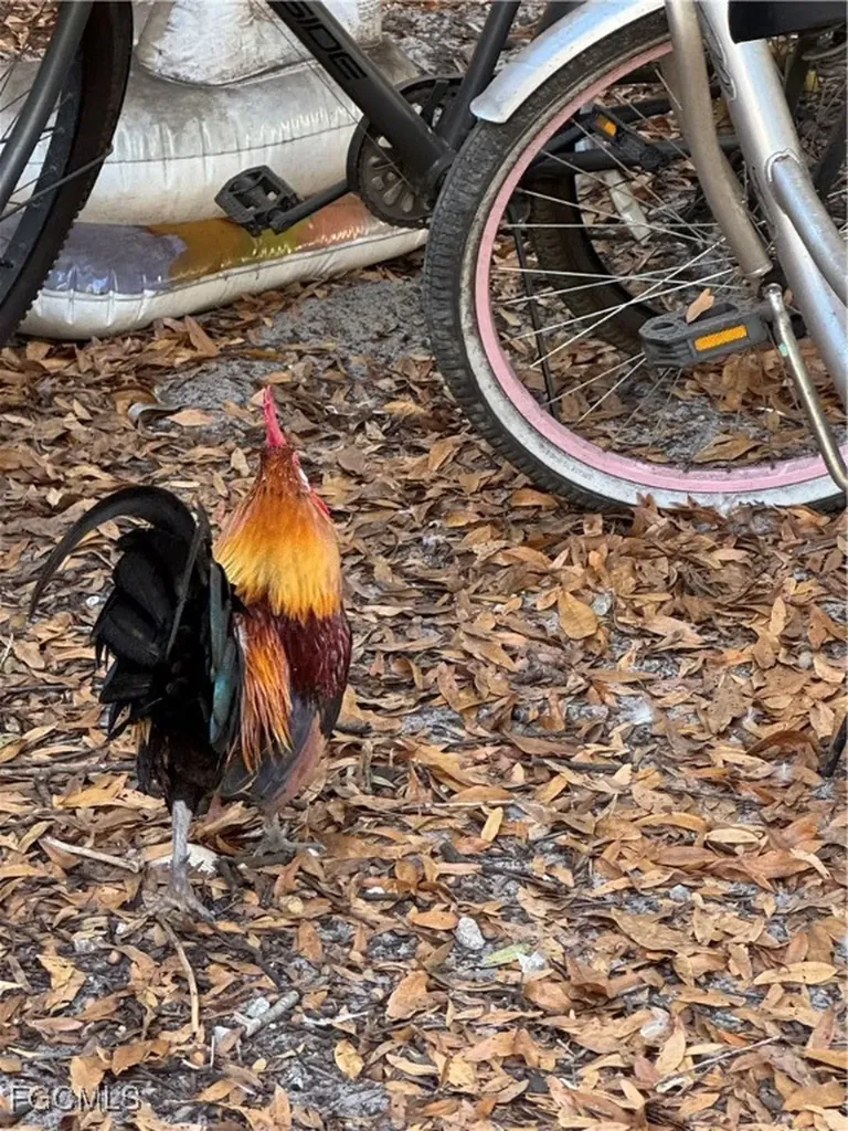 837 Pine Cone Avenue Clewiston FL 33440