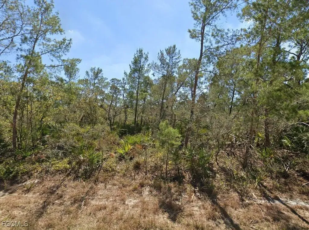 3234 Flatbush Avenue Lake Placid FL 33852