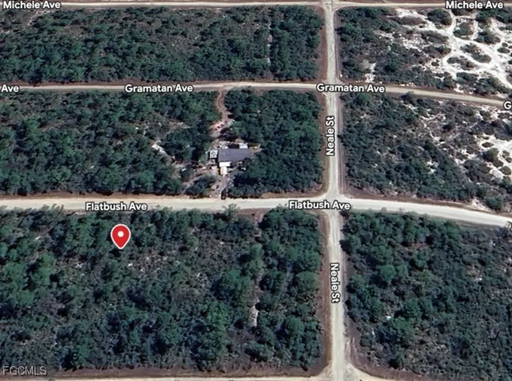 3234 Flatbush Avenue Lake Placid FL 33852