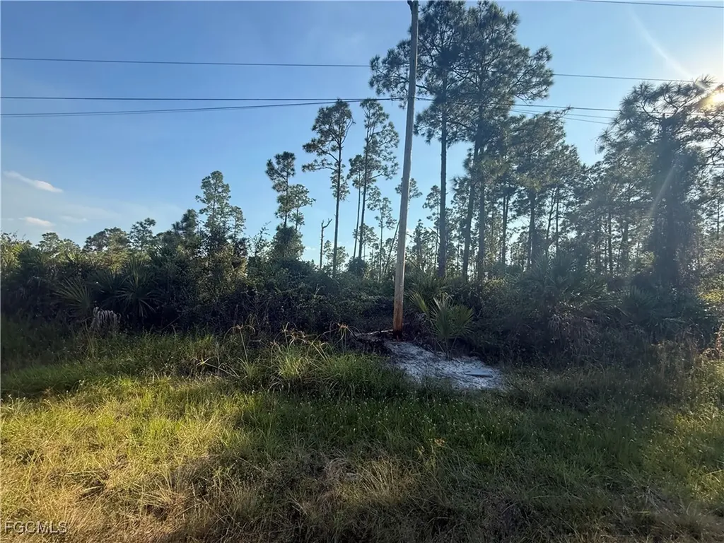 1084/1086 Ainsworth Street E Lehigh Acres FL 33974