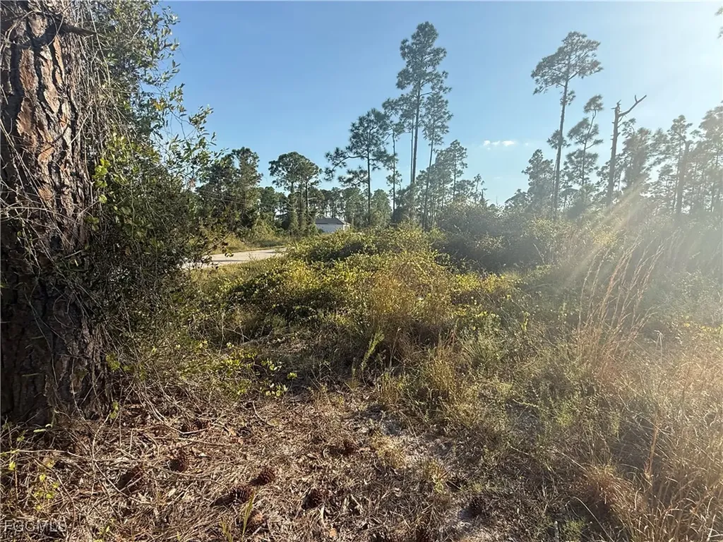 1084/1086 Ainsworth Street E Lehigh Acres FL 33974