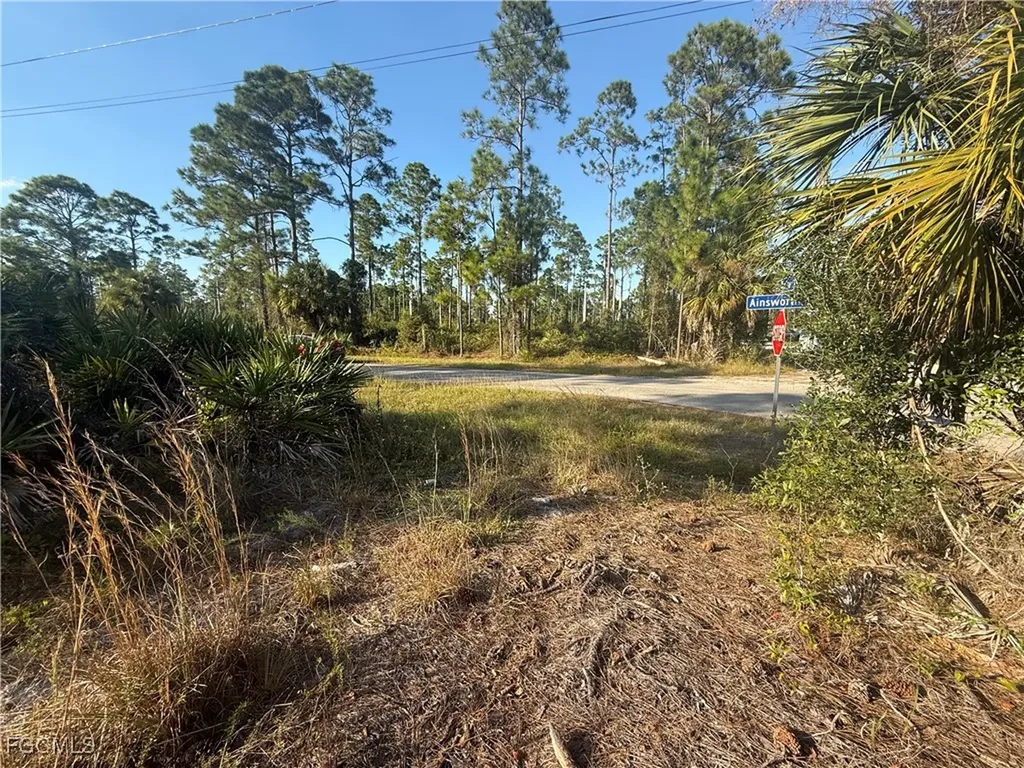 1088/1090 Ainsworth Street E Lehigh Acres FL 33974