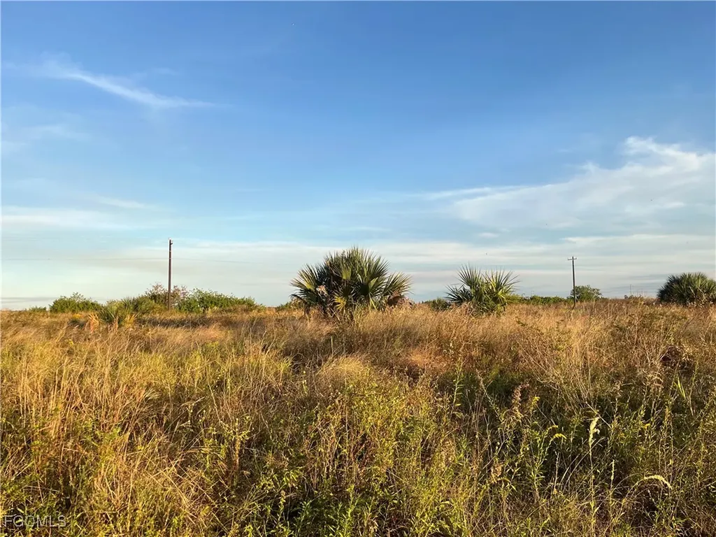 517 Ella Jean Place Labelle FL 33935