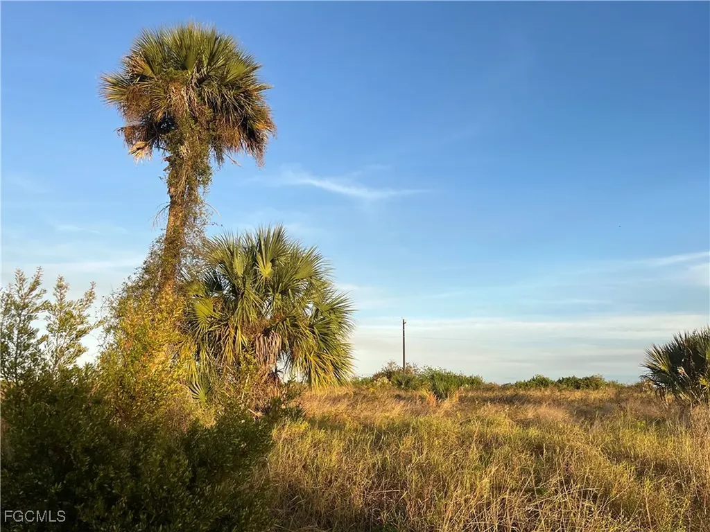 517 Ella Jean Place Labelle FL 33935
