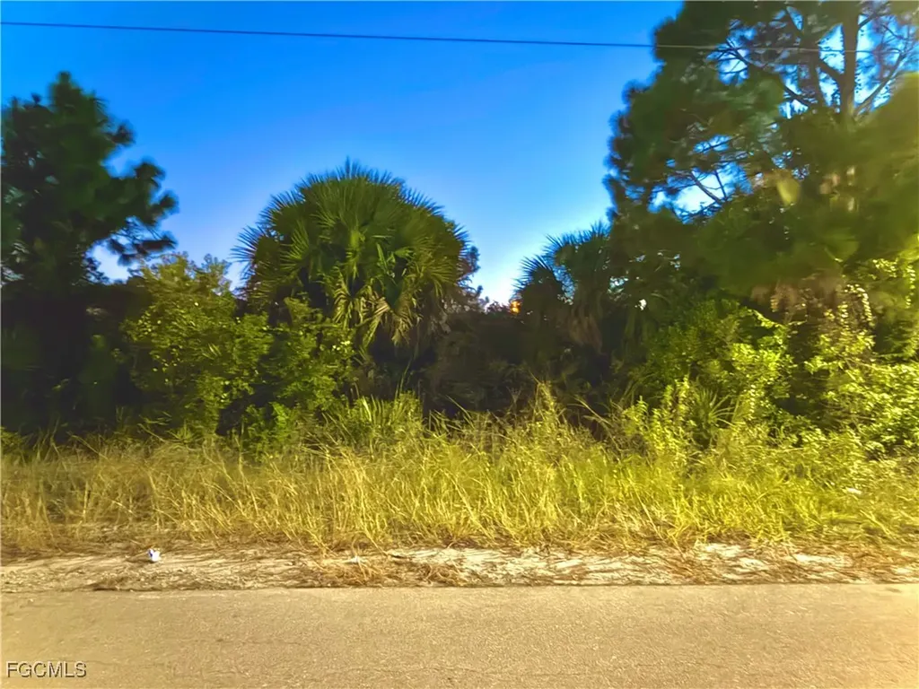 2909 67th Street W Lehigh Acres FL 33971