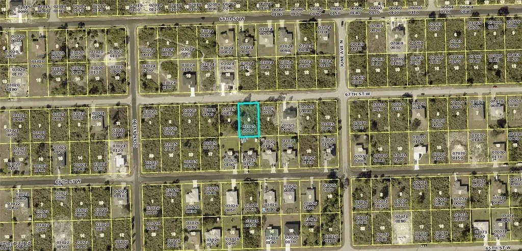 2909 67th Street W Lehigh Acres FL 33971