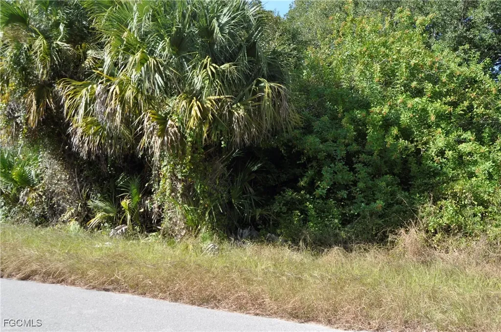 1013 Anderson Street Lehigh Acres FL 33974