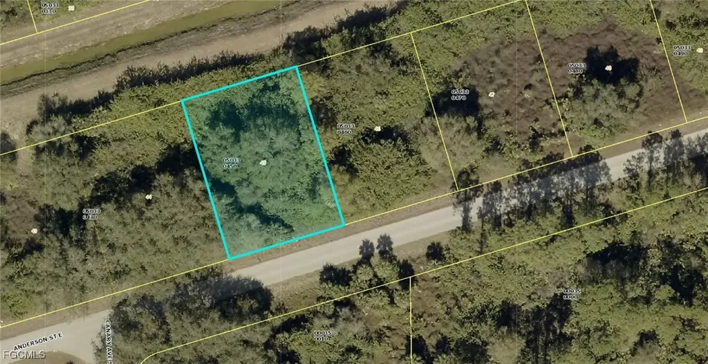 1013 Anderson Street Lehigh Acres FL 33974