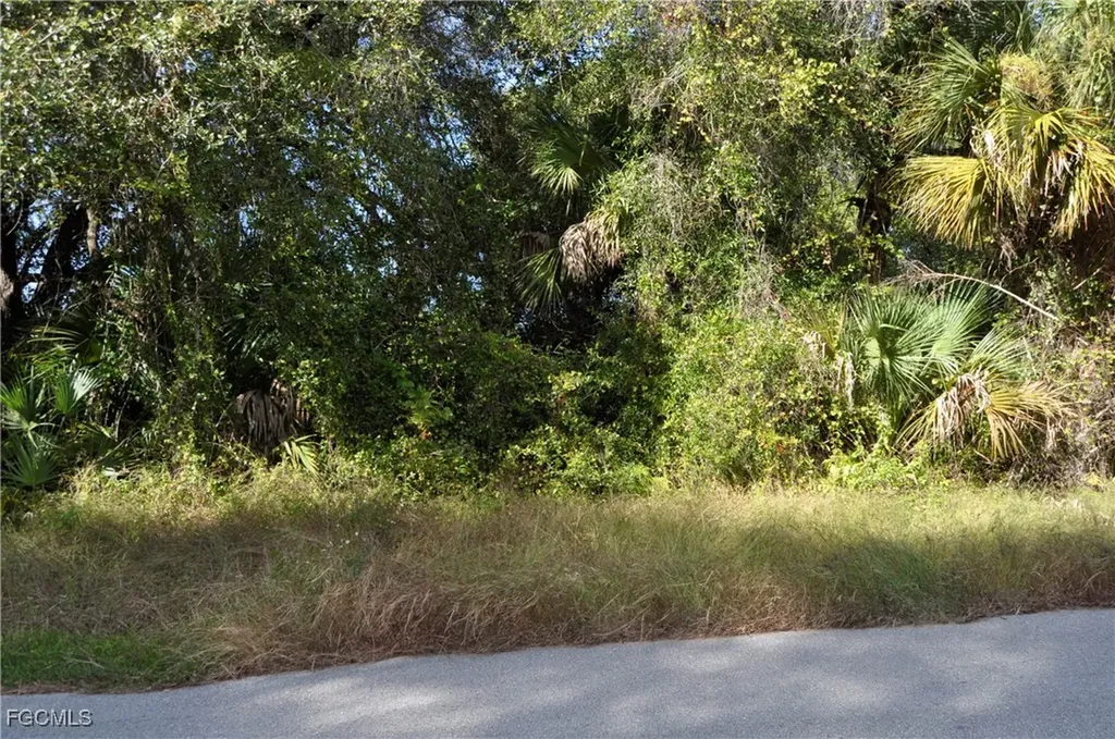 1013 Anderson Street Lehigh Acres FL 33974