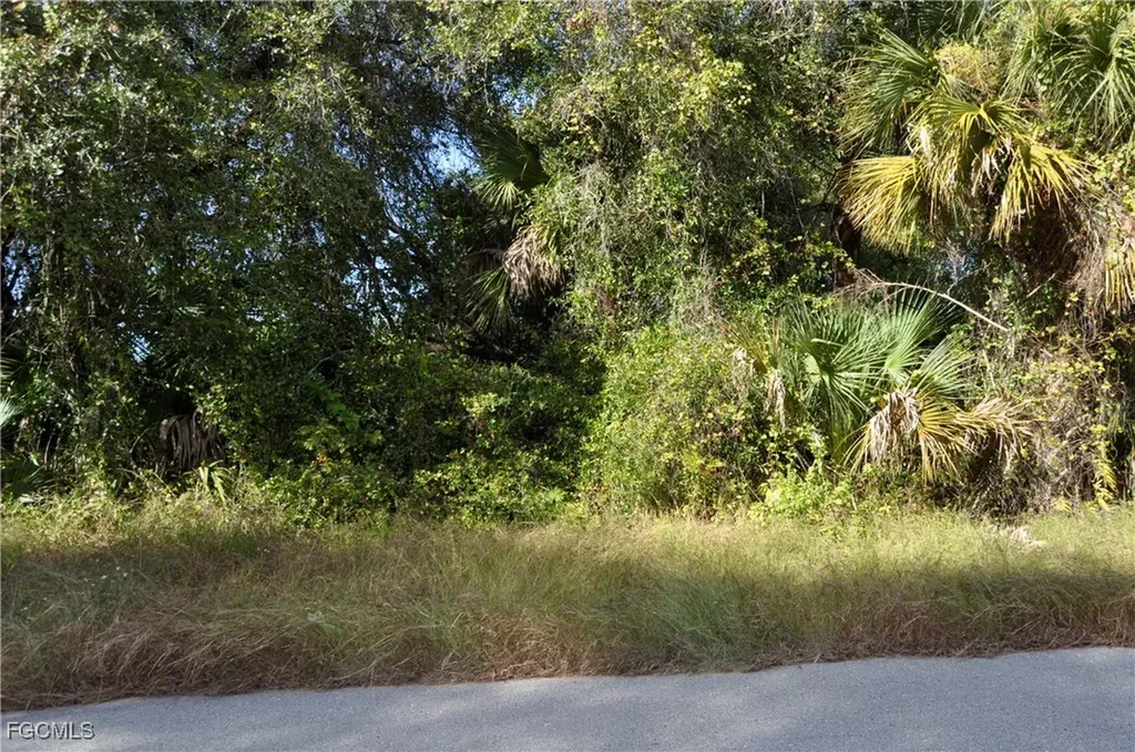 1013 Anderson Street Lehigh Acres FL 33974