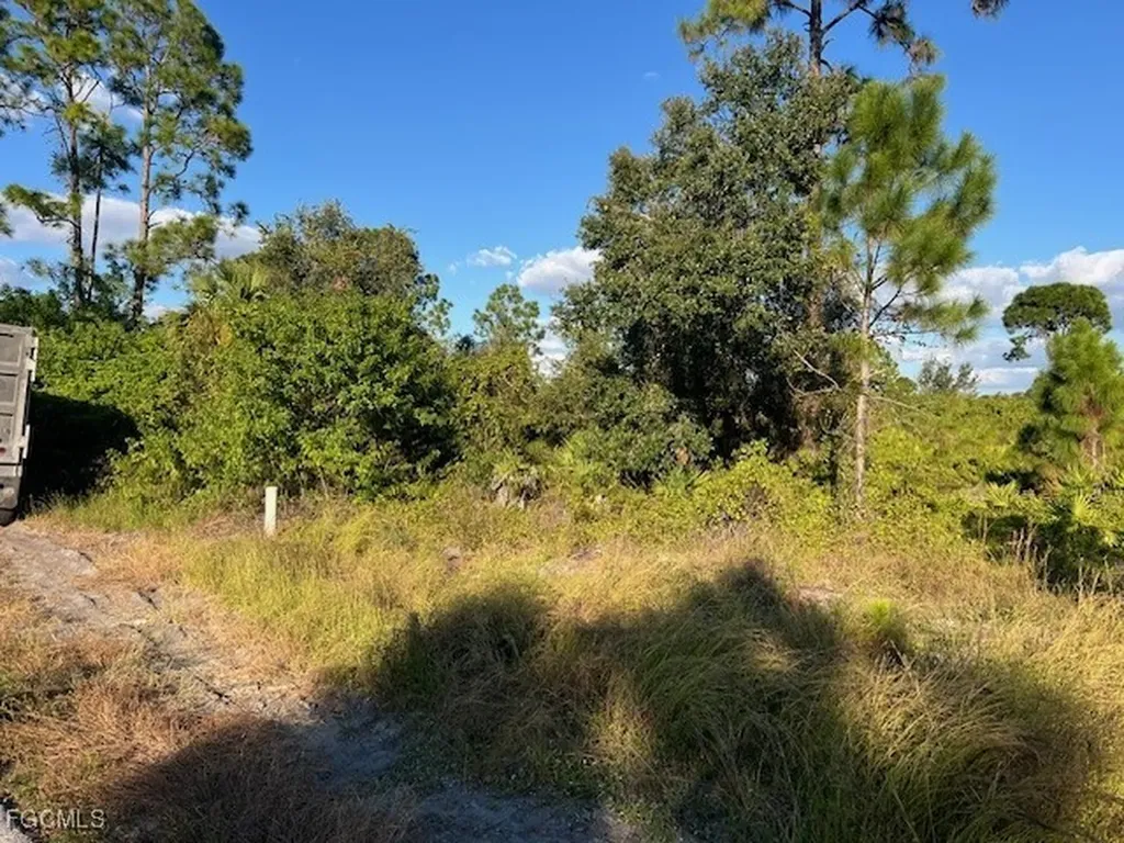 711 Da Vinci Avenue S Lehigh Acres FL 33974