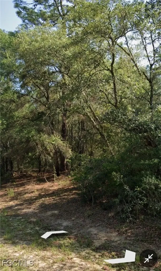 509 E Nemo Drive Citrus Springs FL 34434