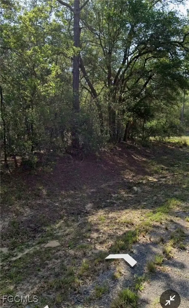 509 E Nemo Drive Citrus Springs FL 34434