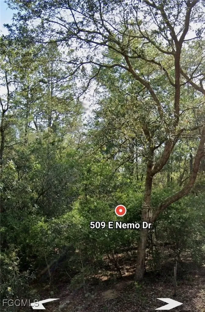 509 E Nemo Drive Citrus Springs FL 34434