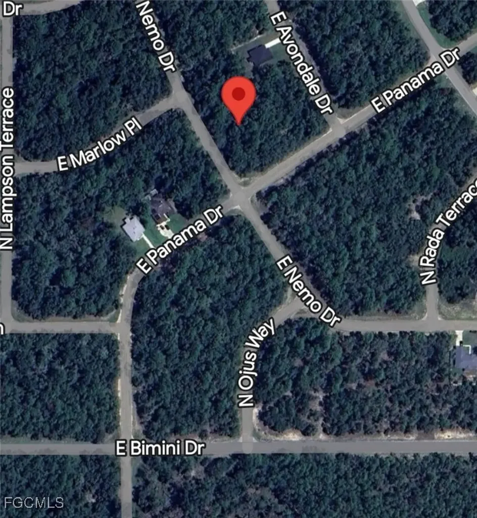 509 E Nemo Drive Citrus Springs FL 34434