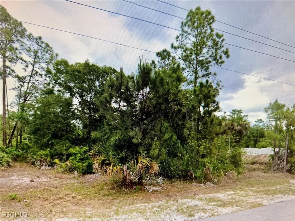 403 E 17th Street Lehigh Acres FL 33972