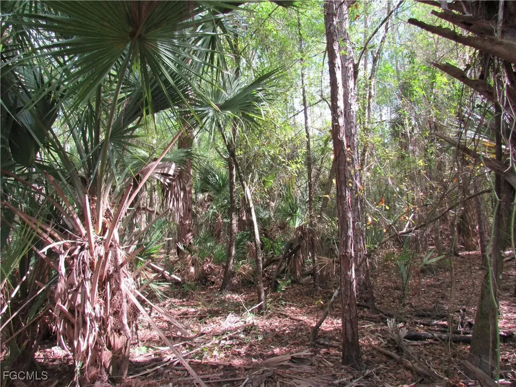 1130 Debbie Lane Labelle FL 33935