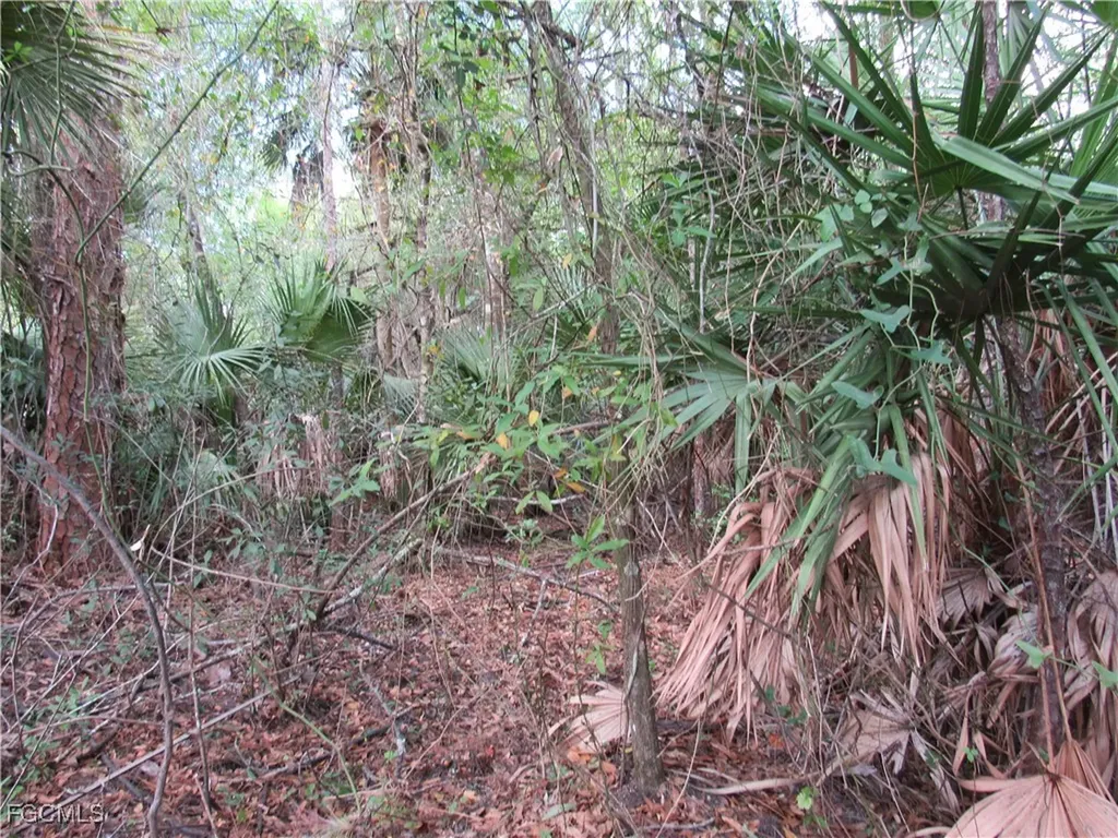 1130 Debbie Lane Labelle FL 33935