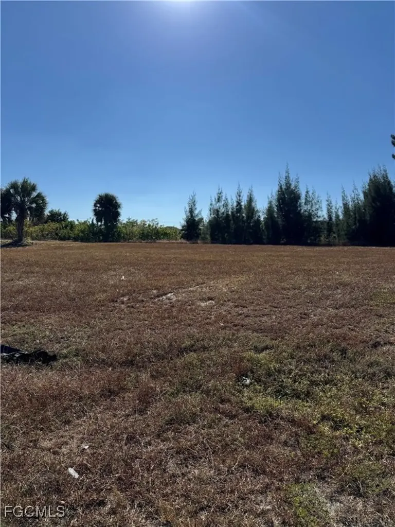 2346 NE 19th Place Cape Coral FL 33909