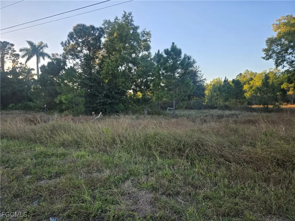 521 Denbigshire Street Lehigh Acres FL 33974