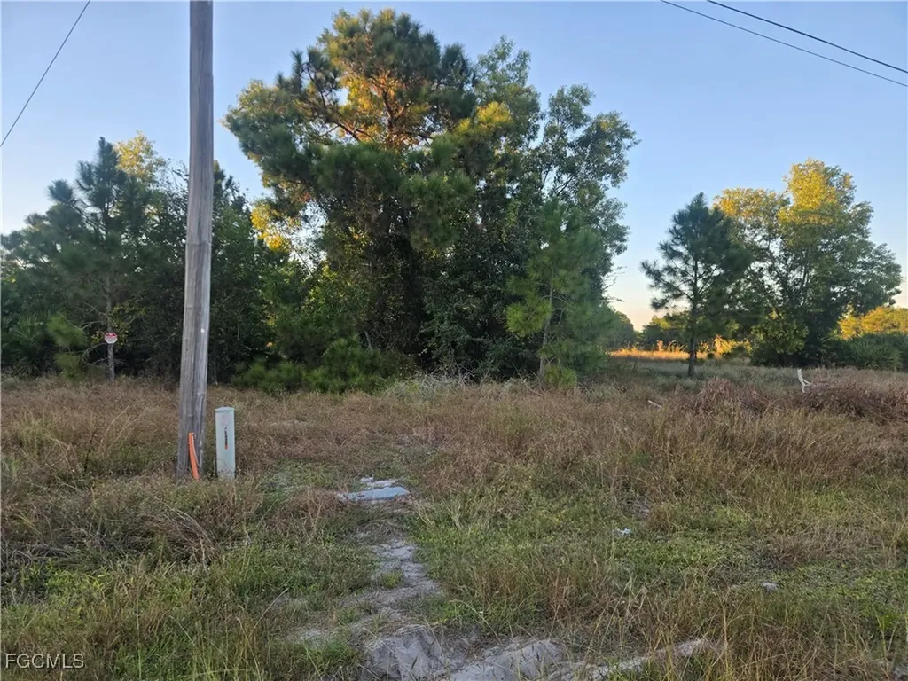 521 Denbigshire Street Lehigh Acres FL 33974