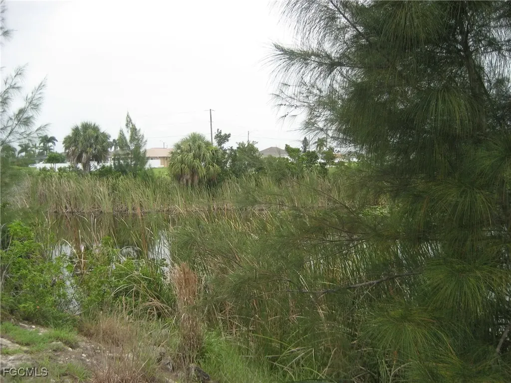 1717 NW 21st Place Cape Coral FL 33993