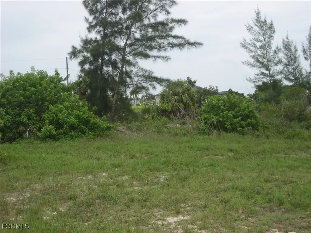 1717 NW 21st Place Cape Coral FL 33993